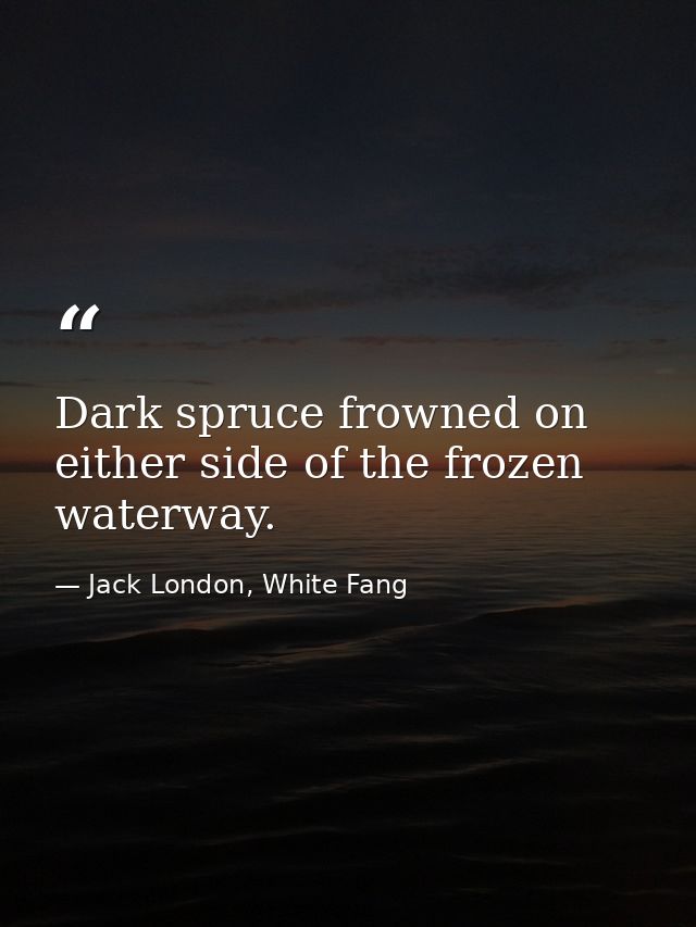 Dark spruce frowned on either side of the frozen waterway. — Jack London, White Fang