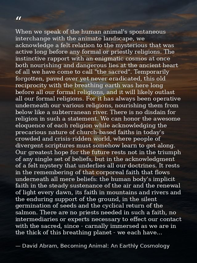When we speak of the human animal's spontaneous interchange with the animate landscape, we acknowledge a felt relation t — David Abram, Becoming Animal: An Earthly Cosmology