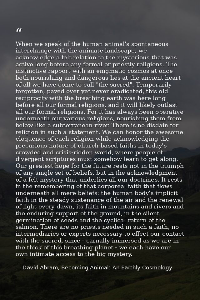 When we speak of the human animal's spontaneous interchange with the animate landscape, we acknowledge a felt relation t — David Abram, Becoming Animal: An Earthly Cosmology