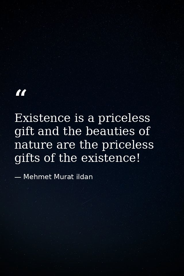 Existence is a priceless gift and the beauties of nature are the priceless gifts of the existence! — Mehmet Murat ildan