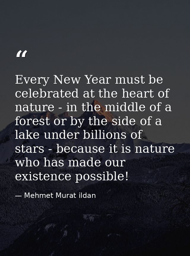 Every New Year must be celebrated at the heart of nature - in the middle of a forest or by the side of a lake under bill — Mehmet Murat ildan