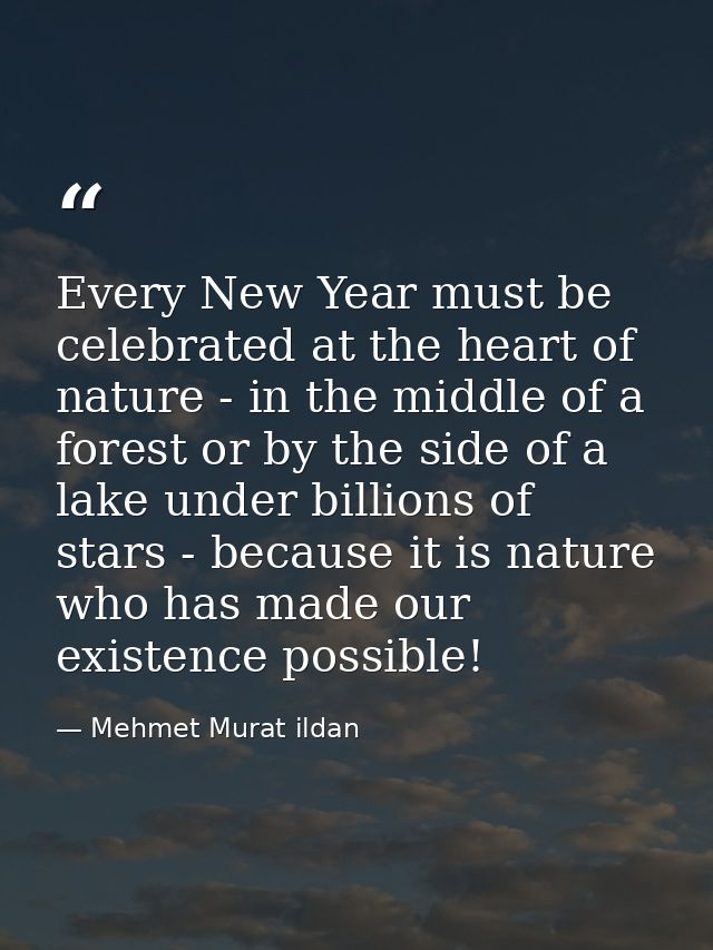 Every New Year must be celebrated at the heart of nature - in the middle of a forest or by the side of a lake under bill — Mehmet Murat ildan