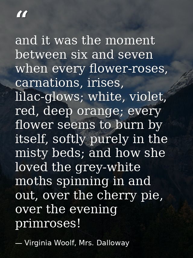 and it was the moment between six and seven when every flower-roses, carnations, irises, lilac-glows; white, violet, red — Virginia Woolf, Mrs. Dalloway