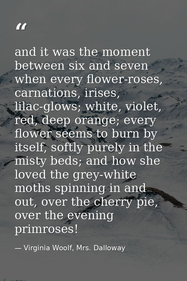 and it was the moment between six and seven when every flower-roses, carnations, irises, lilac-glows; white, violet, red — Virginia Woolf, Mrs. Dalloway