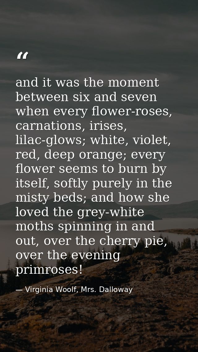 and it was the moment between six and seven when every flower-roses, carnations, irises, lilac-glows; white, violet, red — Virginia Woolf, Mrs. Dalloway