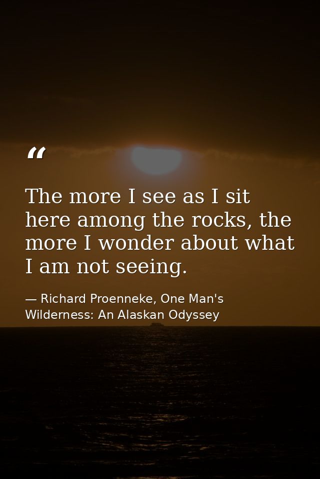 The more I see as I sit here among the rocks, the more I wonder about what I am not seeing. — Richard Proenneke, One Man's Wilderness: An Alaskan Odyssey