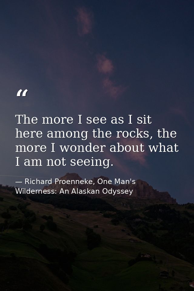 The more I see as I sit here among the rocks, the more I wonder about what I am not seeing. — Richard Proenneke, One Man's Wilderness: An Alaskan Odyssey