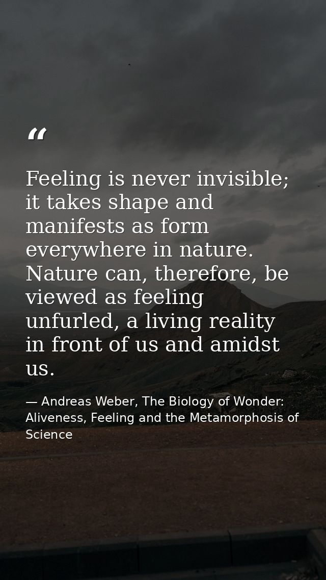 Feeling is never invisible; it takes shape and manifests as form everywhere in nature. Nature can, therefore, be viewed  — Andreas Weber, The Biology of Wonder: Aliveness, Feeling and the Metamorphosis of Science