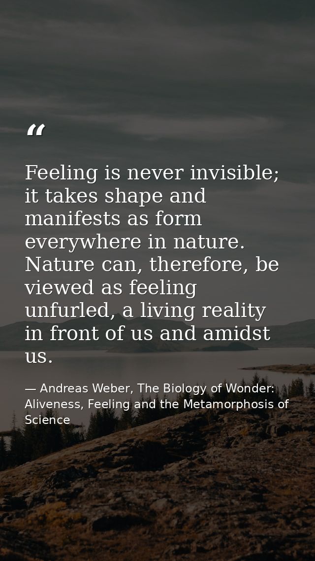 Feeling is never invisible; it takes shape and manifests as form everywhere in nature. Nature can, therefore, be viewed  — Andreas Weber, The Biology of Wonder: Aliveness, Feeling and the Metamorphosis of Science