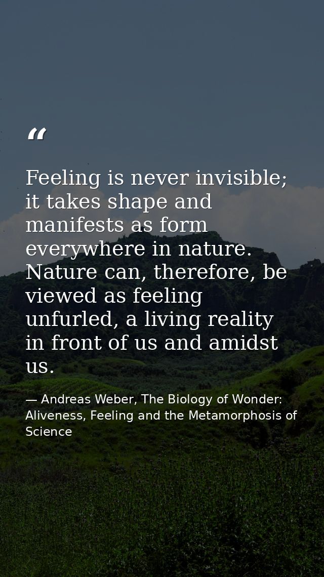 Feeling is never invisible; it takes shape and manifests as form everywhere in nature. Nature can, therefore, be viewed  — Andreas Weber, The Biology of Wonder: Aliveness, Feeling and the Metamorphosis of Science