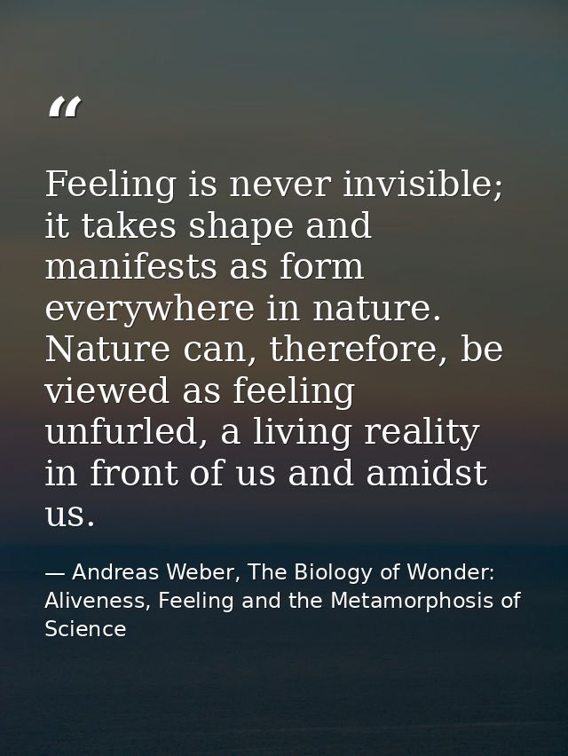 Feeling is never invisible; it takes shape and manifests as form everywhere in nature. Nature can, therefore, be viewed  — Andreas Weber, The Biology of Wonder: Aliveness, Feeling and the Metamorphosis of Science