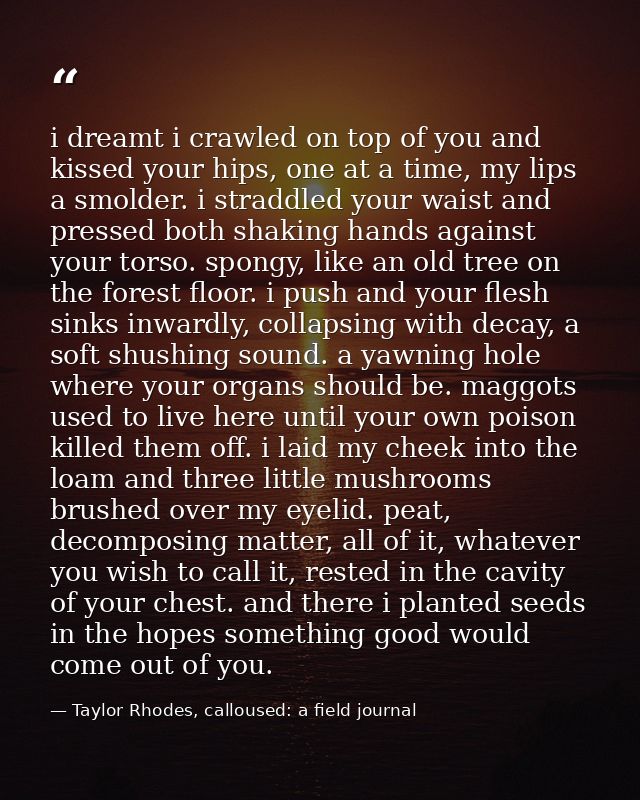 i dreamt i crawled on top of you and kissed your hips, one at a time, my lips a smolder. i straddled your waist and pres — Taylor Rhodes, calloused: a field journal