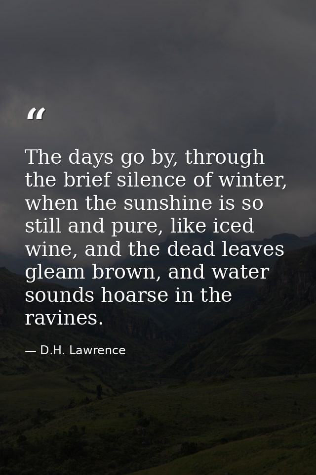 The days go by, through the brief silence of winter, when the sunshine is so still and pure, like iced wine, and the dea — D.H. Lawrence