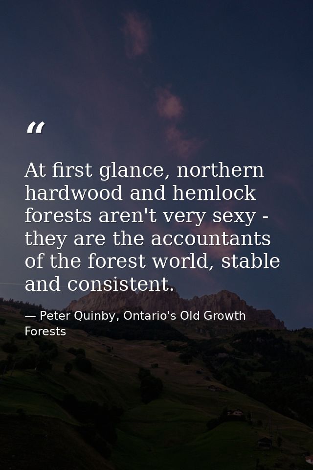 At first glance, northern hardwood and hemlock forests aren't very sexy - they are the accountants of the forest world,  — Peter Quinby, Ontario's Old Growth Forests
