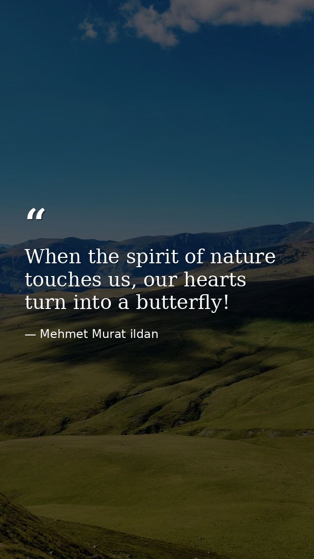 When the spirit of nature touches us, our hearts turn into a butterfly! — Mehmet Murat ildan