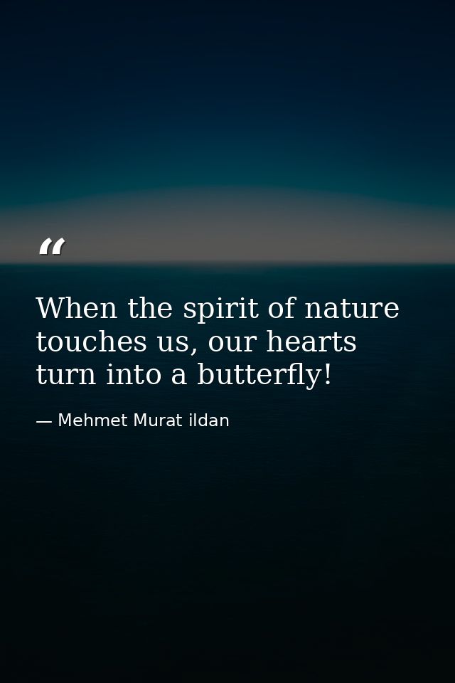 When the spirit of nature touches us, our hearts turn into a butterfly! — Mehmet Murat ildan