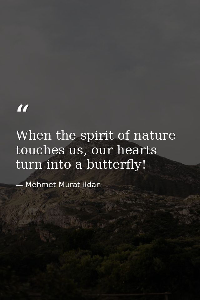 When the spirit of nature touches us, our hearts turn into a butterfly! — Mehmet Murat ildan