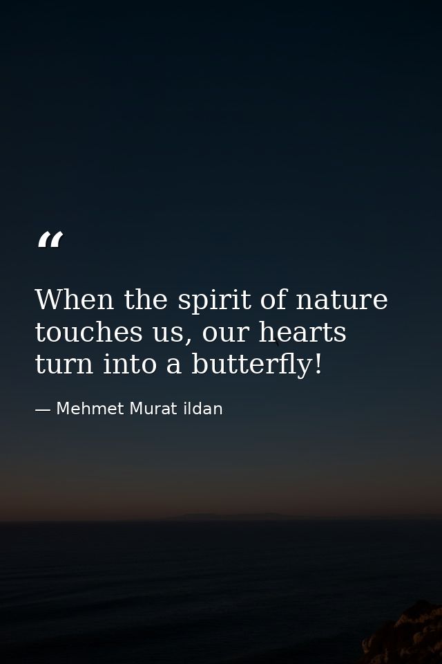 When the spirit of nature touches us, our hearts turn into a butterfly! — Mehmet Murat ildan