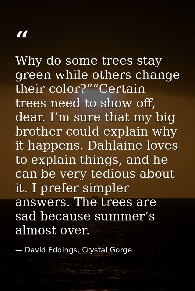 Why do some trees stay green while others change their color?”“Certain trees need to show off, dear. I’m sure that my bi — David Eddings, Crystal Gorge