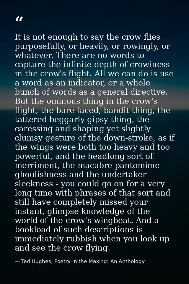 It is not enough to say the crow flies purposefully, or heavily, or rowingly, or whatever. There are no words to capture — Ted Hughes, Poetry in the Making: An Anthology