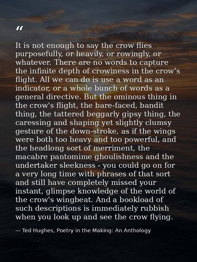 It is not enough to say the crow flies purposefully, or heavily, or rowingly, or whatever. There are no words to capture — Ted Hughes, Poetry in the Making: An Anthology