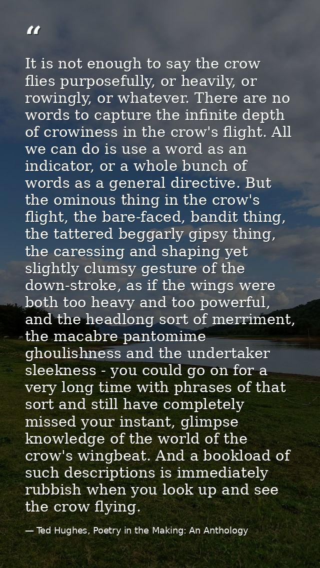 It is not enough to say the crow flies purposefully, or heavily, or rowingly, or whatever. There are no words to capture — Ted Hughes, Poetry in the Making: An Anthology