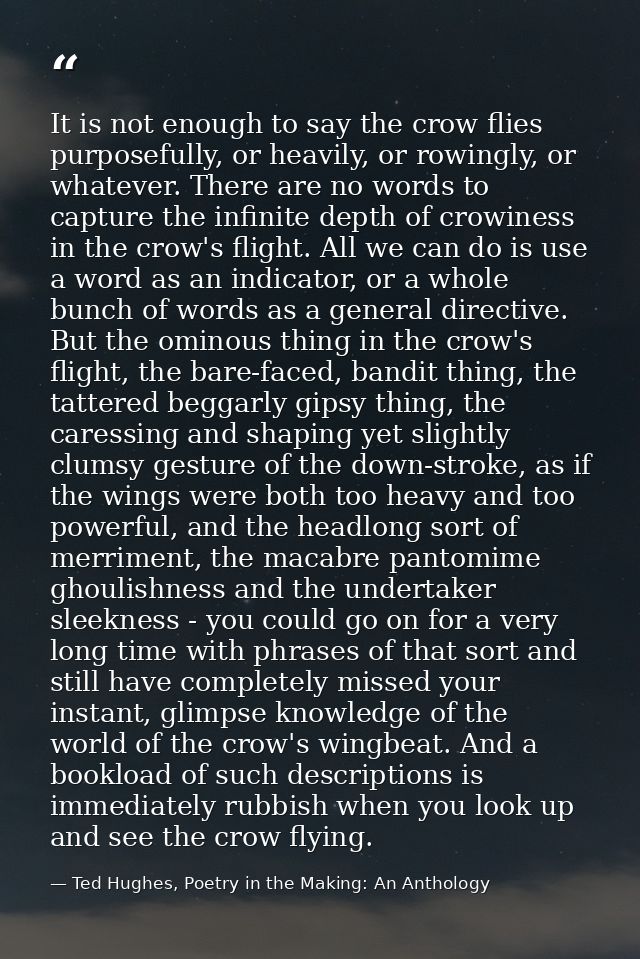 It is not enough to say the crow flies purposefully, or heavily, or rowingly, or whatever. There are no words to capture — Ted Hughes, Poetry in the Making: An Anthology
