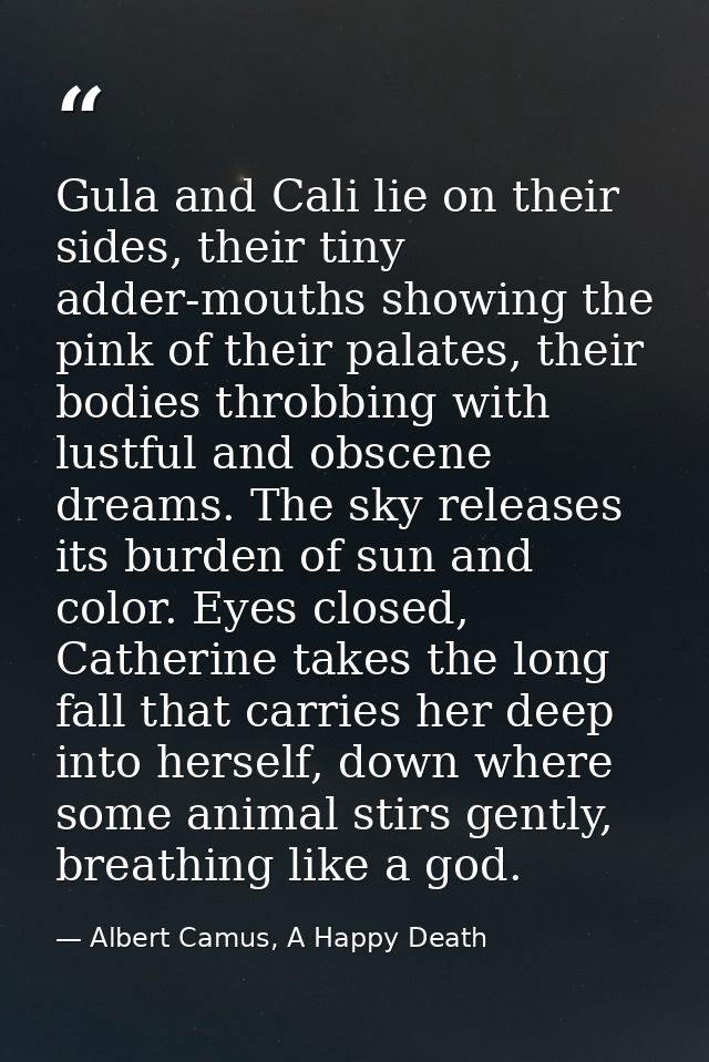 Gula and Cali lie on their sides, their tiny adder-mouths showing the pink of their palates, their bodies throbbing with — Albert Camus, A Happy Death