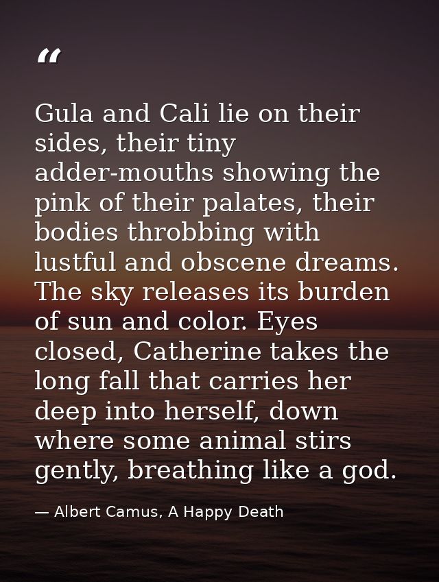 Gula and Cali lie on their sides, their tiny adder-mouths showing the pink of their palates, their bodies throbbing with — Albert Camus, A Happy Death