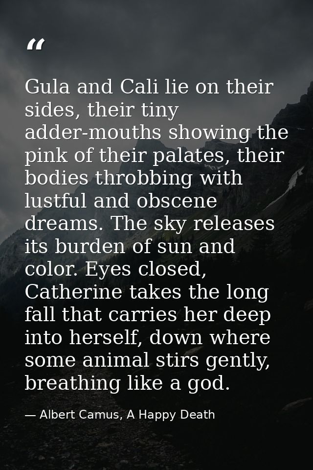Gula and Cali lie on their sides, their tiny adder-mouths showing the pink of their palates, their bodies throbbing with — Albert Camus, A Happy Death