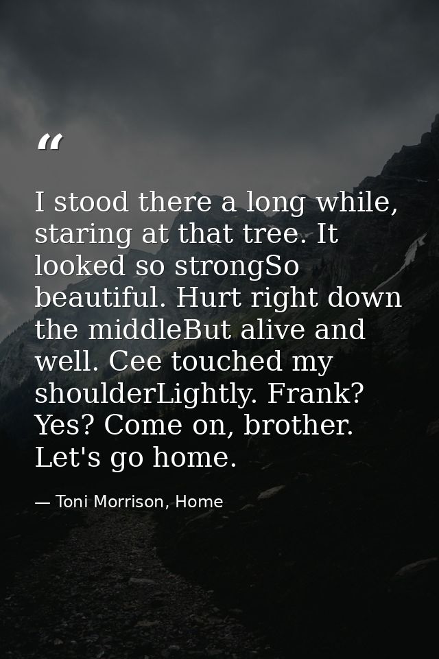 I stood there a long while, staring at that tree. It looked so strongSo beautiful. Hurt right down the middleBut alive a — Toni Morrison, Home