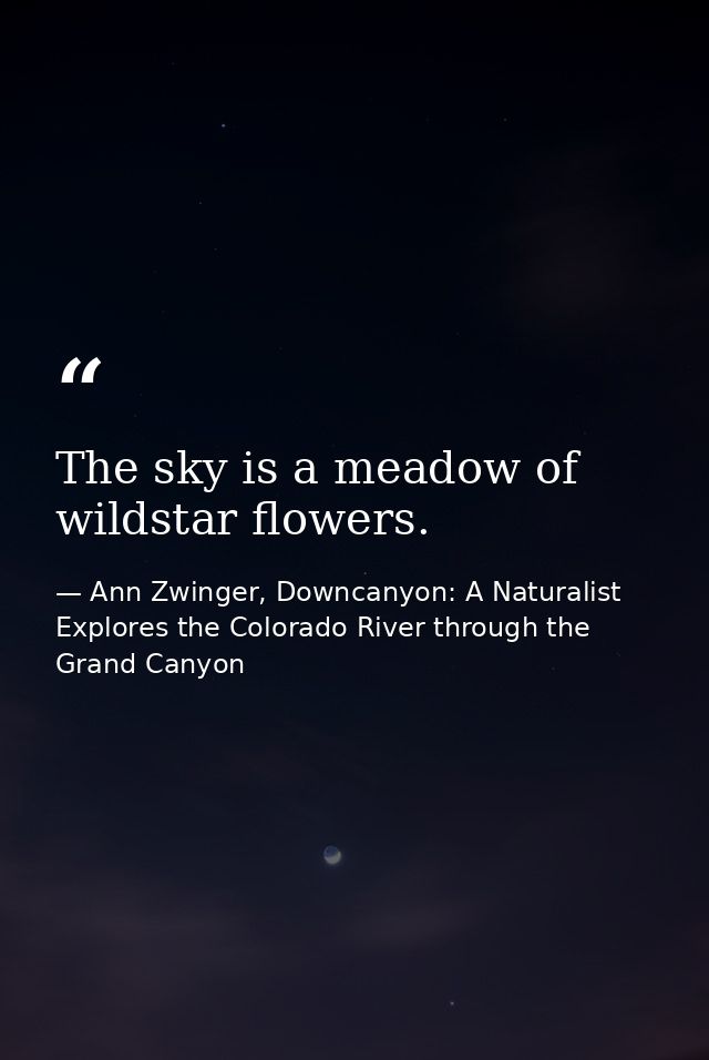The sky is a meadow of wildstar flowers. — Ann Zwinger, Downcanyon: A Naturalist Explores the Colorado River through the Grand Canyon