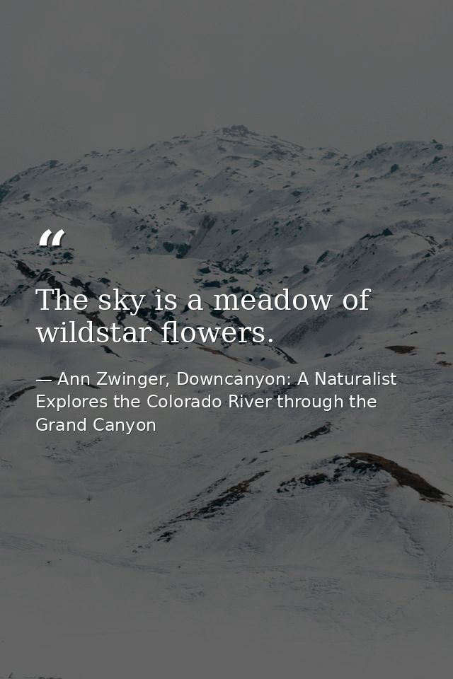 The sky is a meadow of wildstar flowers. — Ann Zwinger, Downcanyon: A Naturalist Explores the Colorado River through the Grand Canyon