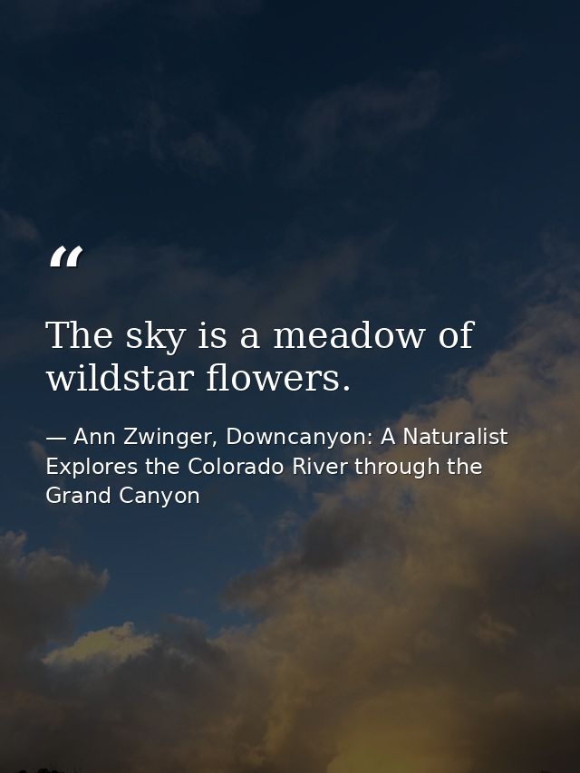 The sky is a meadow of wildstar flowers. — Ann Zwinger, Downcanyon: A Naturalist Explores the Colorado River through the Grand Canyon