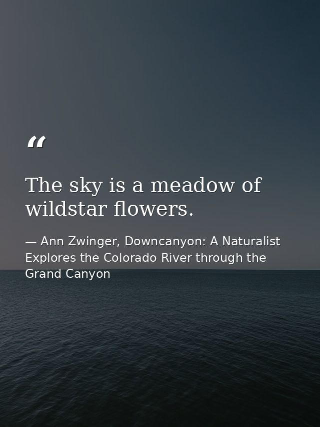 The sky is a meadow of wildstar flowers. — Ann Zwinger, Downcanyon: A Naturalist Explores the Colorado River through the Grand Canyon