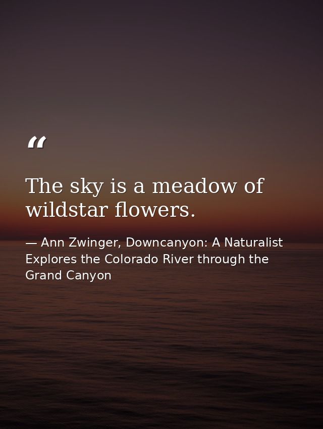 The sky is a meadow of wildstar flowers. — Ann Zwinger, Downcanyon: A Naturalist Explores the Colorado River through the Grand Canyon
