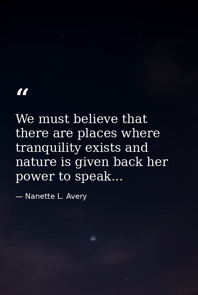 We must believe that there are places where tranquility exists and nature is given back her power to speak... — Nanette L. Avery