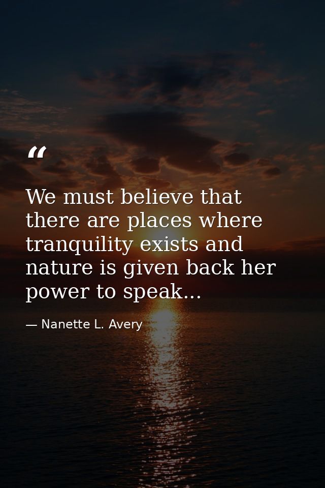 We must believe that there are places where tranquility exists and nature is given back her power to speak... — Nanette L. Avery