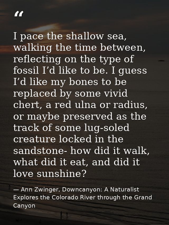 I pace the shallow sea, walking the time between, reflecting on the type of fossil I’d like to be. I guess I’d like my b — Ann Zwinger, Downcanyon: A Naturalist Explores the Colorado River through the Grand Canyon