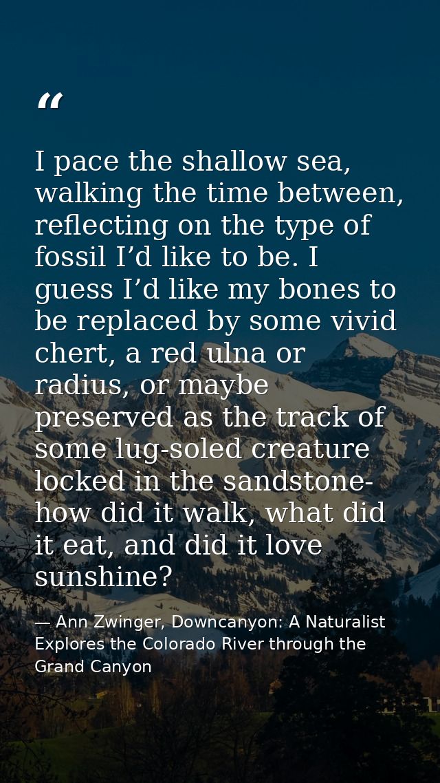 I pace the shallow sea, walking the time between, reflecting on the type of fossil I’d like to be. I guess I’d like my b — Ann Zwinger, Downcanyon: A Naturalist Explores the Colorado River through the Grand Canyon