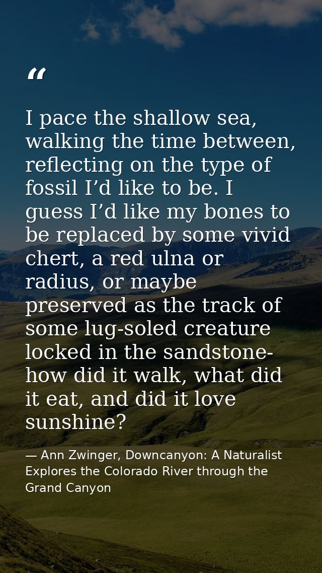 I pace the shallow sea, walking the time between, reflecting on the type of fossil I’d like to be. I guess I’d like my b — Ann Zwinger, Downcanyon: A Naturalist Explores the Colorado River through the Grand Canyon