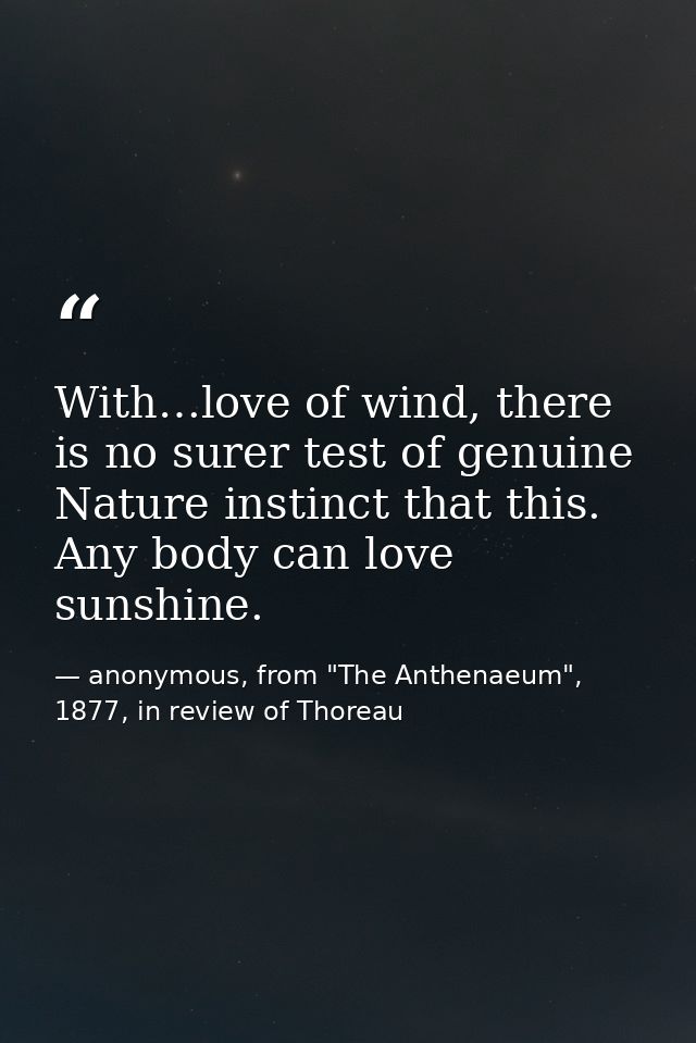 With…love of wind, there is no surer test of genuine Nature instinct that this. Any body can love sunshine. — anonymous, from "The Anthenaeum", 1877, in review of Thoreau