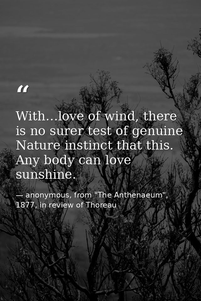 With…love of wind, there is no surer test of genuine Nature instinct that this. Any body can love sunshine. — anonymous, from "The Anthenaeum", 1877, in review of Thoreau