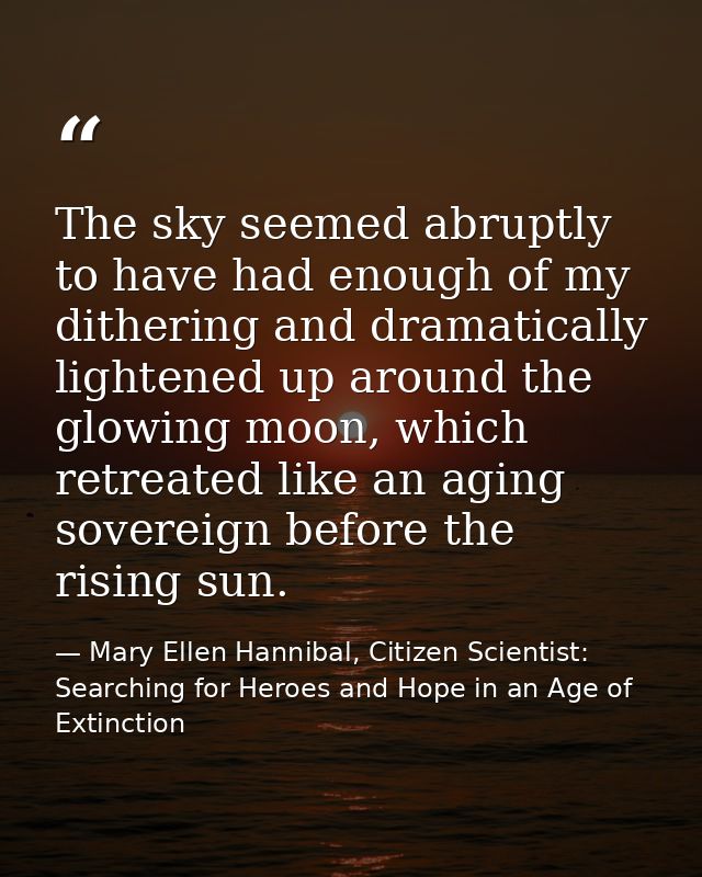 The sky seemed abruptly to have had enough of my dithering and dramatically lightened up around the glowing moon, which  — Mary Ellen Hannibal, Citizen Scientist: Searching for Heroes and Hope in an Age of Extinction