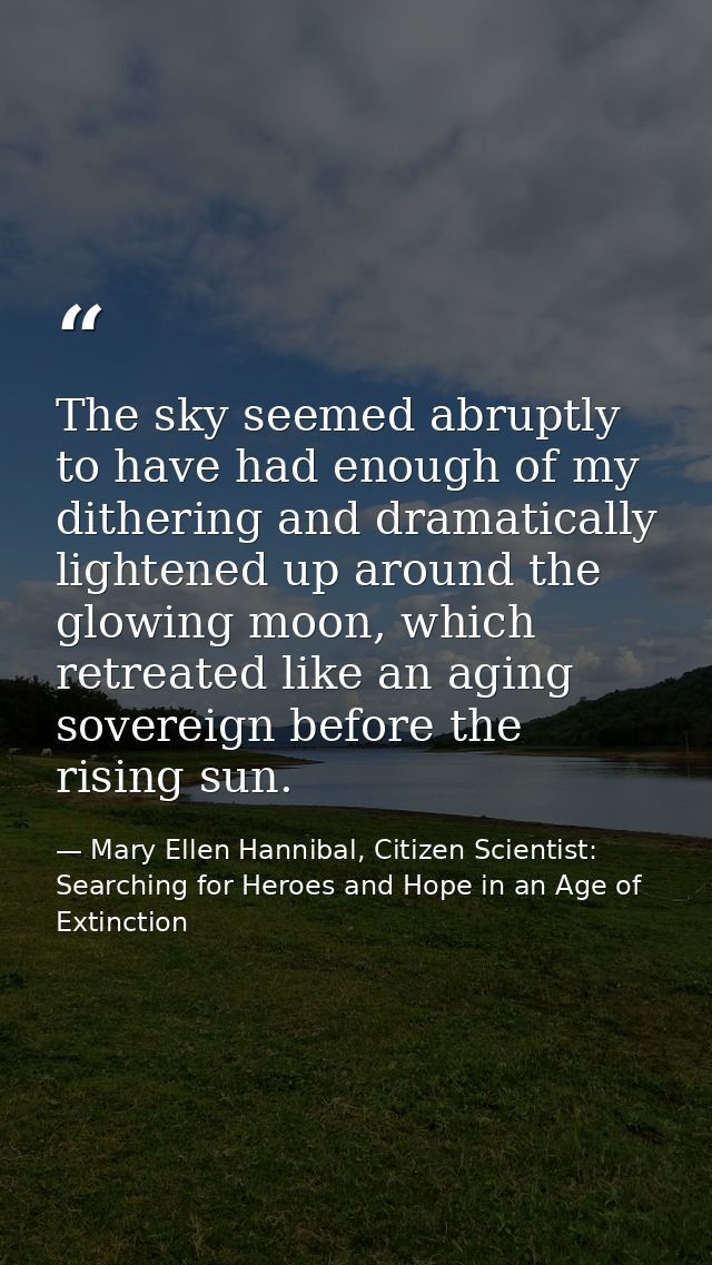 The sky seemed abruptly to have had enough of my dithering and dramatically lightened up around the glowing moon, which  — Mary Ellen Hannibal, Citizen Scientist: Searching for Heroes and Hope in an Age of Extinction
