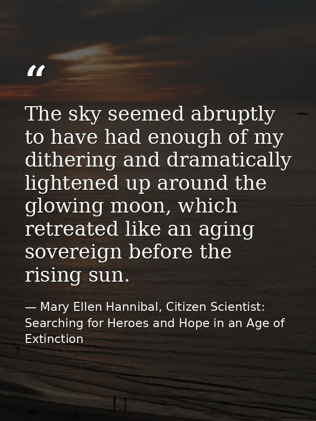 The sky seemed abruptly to have had enough of my dithering and dramatically lightened up around the glowing moon, which  — Mary Ellen Hannibal, Citizen Scientist: Searching for Heroes and Hope in an Age of Extinction