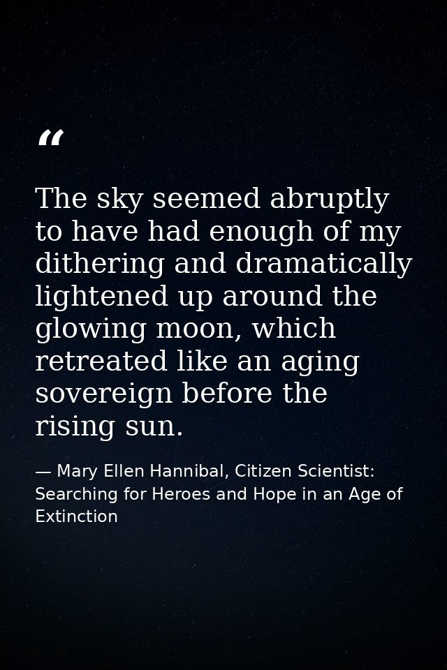 The sky seemed abruptly to have had enough of my dithering and dramatically lightened up around the glowing moon, which  — Mary Ellen Hannibal, Citizen Scientist: Searching for Heroes and Hope in an Age of Extinction