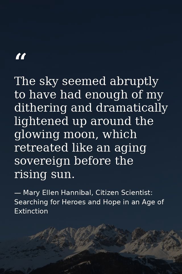 The sky seemed abruptly to have had enough of my dithering and dramatically lightened up around the glowing moon, which  — Mary Ellen Hannibal, Citizen Scientist: Searching for Heroes and Hope in an Age of Extinction