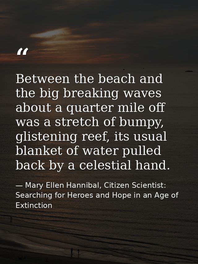 Between the beach and the big breaking waves about a quarter mile off was a stretch of bumpy, glistening reef, its usual — Mary Ellen Hannibal, Citizen Scientist: Searching for Heroes and Hope in an Age of Extinction