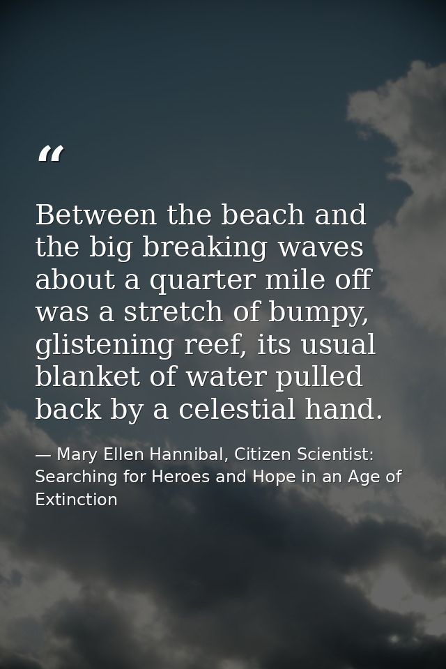 Between the beach and the big breaking waves about a quarter mile off was a stretch of bumpy, glistening reef, its usual — Mary Ellen Hannibal, Citizen Scientist: Searching for Heroes and Hope in an Age of Extinction
